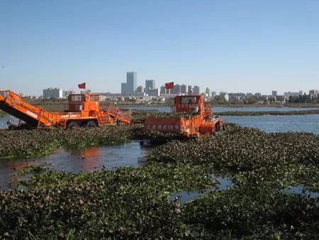 昆明滇池环境治理水生植物处置工程